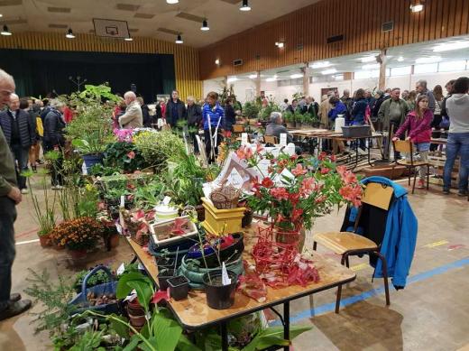 Vide jardin 2017